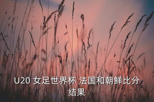 U20 女足世界杯 法國(guó)和朝鮮比分結(jié)果