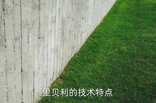 里貝利的技術(shù)特點