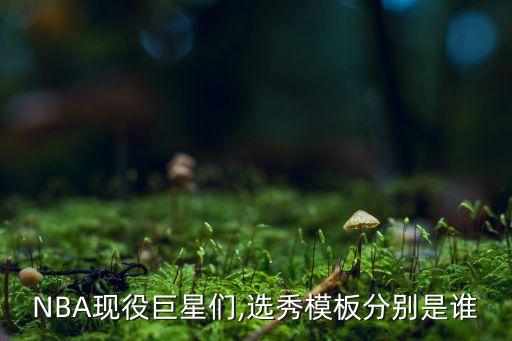 哪個球員模版是喬丹,科比是喬丹、卡特和博士丹尼斯