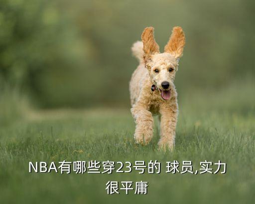NBA有哪些穿23號的 球員,實力很平庸