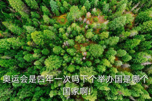 奧運(yùn)會(huì)是四年一次嗎下個(gè)舉辦國是哪個(gè) 國家啊!
