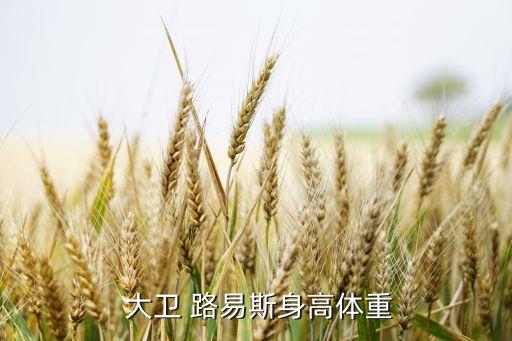 大衛(wèi)路易斯在哪個(gè)隊(duì),大衛(wèi)-路易斯加盟切爾西足球俱樂部