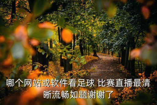 哪個網站或軟件看足球 比賽直播最清晰流暢如題謝謝了