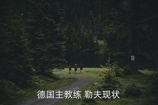 勒夫執(zhí)教哪個俱樂部,勒夫轉(zhuǎn)會拜仁慕尼黑隊擔任主教練