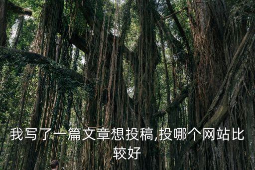 我寫了一篇文章想投稿,投哪個(gè)網(wǎng)站比較好