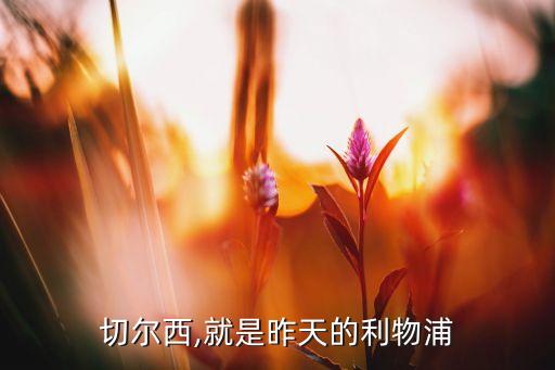 日爾科夫哪個(gè)賽季好用,羅本離開后球隊(duì)邊上問題已相當(dāng)嚴(yán)重
