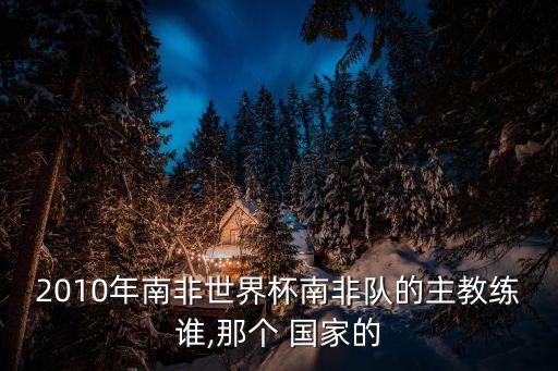 2010年南非世界杯南非隊的主教練誰,那個 國家的