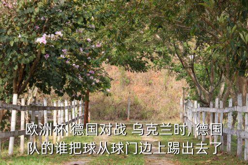 歐洲杯 德國對戰(zhàn) 烏克蘭時, 德國隊的誰把球從球門邊上踢出去了