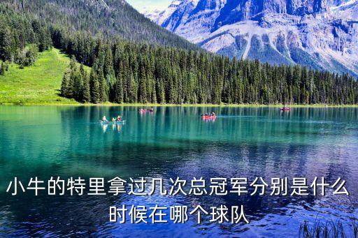小牛的特里拿過(guò)幾次總冠軍分別是什么時(shí)候在哪個(gè)球隊(duì)