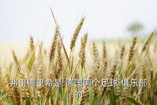 德國足球隊(duì)隊(duì)員都在哪個(gè)俱樂部,馬舒梅爾斯出戰(zhàn)中國足球隊(duì)