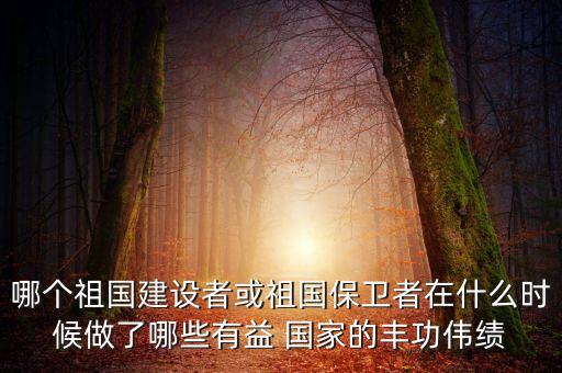 哪個(gè)祖國建設(shè)者或祖國保衛(wèi)者在什么時(shí)候做了哪些有益 國家的豐功偉績