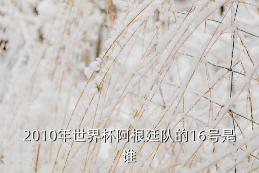 16號是哪個足球明星,我和你一樣希望被尊重!