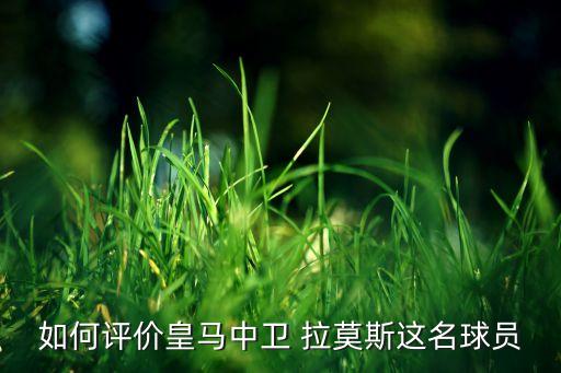 如何評價皇馬中衛(wèi) 拉莫斯這名球員