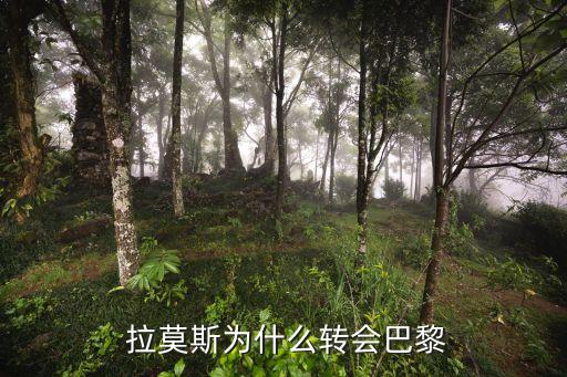  拉莫斯為什么轉(zhuǎn)會巴黎