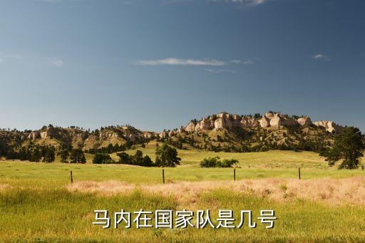 馬內(nèi)踢哪個位置,馬內(nèi)尋求轉(zhuǎn)會利物浦年薪520萬英鎊