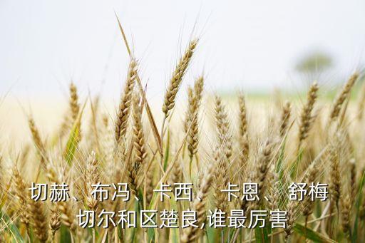 切赫、布馮、卡西、 卡恩、 舒梅 切爾和區(qū)楚良,誰(shuí)最厲害