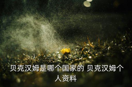 貝克漢姆哪個國家隊,大衛(wèi)貝克漢姆轉(zhuǎn)會皇馬