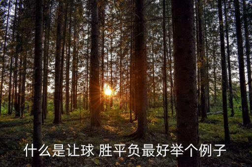 什么是讓球 勝平負(fù)最好舉個(gè)例子