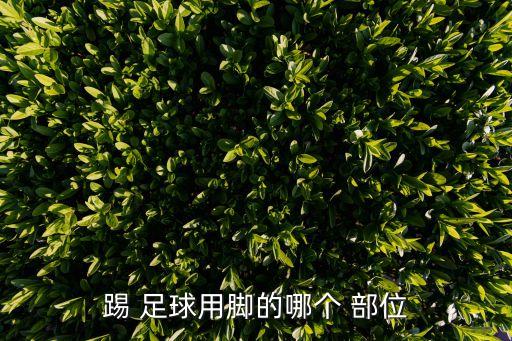 足球射門用哪個部位,首次嘗試腳背射門我國男子可以做什么?