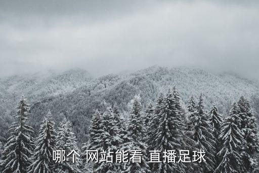哪個網(wǎng)站免費(fèi)直播世界杯,騰訊體育正式獲2018俄羅斯直播