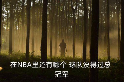 nba哪個球隊(duì)沒拿過總冠軍,我國籃球隊(duì)四支球隊(duì)包辦總決賽