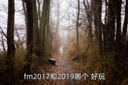 fm2017和2019哪個 好玩