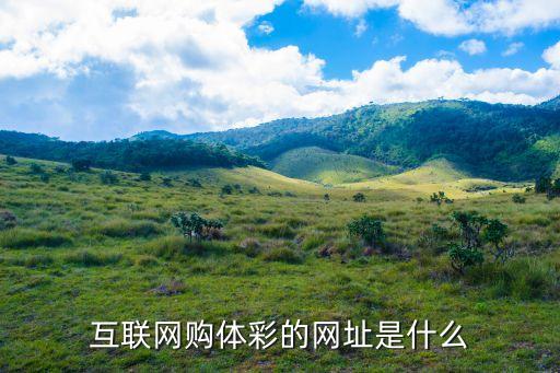 哪個(gè)網(wǎng)站可以在線購(gòu)買彩票,如何購(gòu)買彩票?