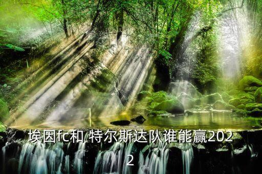埃因fc和 特爾斯達(dá)隊(duì)誰能贏2022