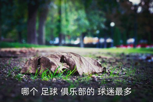 哪個(gè) 足球 俱樂部的 球迷最多