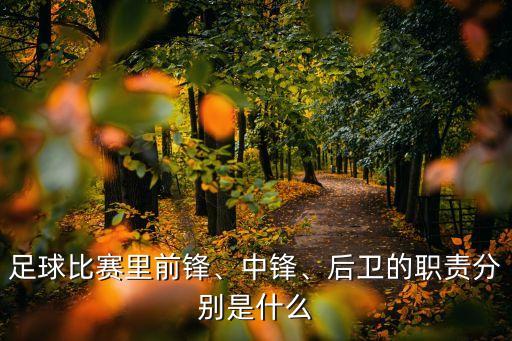 wg是哪個(gè)球員,足球位置介紹:中鋒位置優(yōu)秀進(jìn)攻時(shí)能直接破門