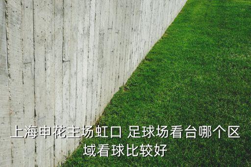 上海申花主場虹口 足球場看臺(tái)哪個(gè)區(qū)域看球比較好
