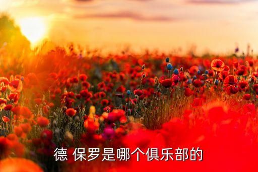 保羅家鄉(xiāng)球隊(duì)是哪個,湖人引進(jìn)保羅盼他再次發(fā)揮帶隊(duì)潛力
