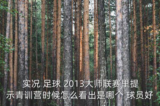  實(shí)況 足球 2013大師聯(lián)賽里提示青訓(xùn)營時(shí)候怎么看出是哪個(gè) 球員好