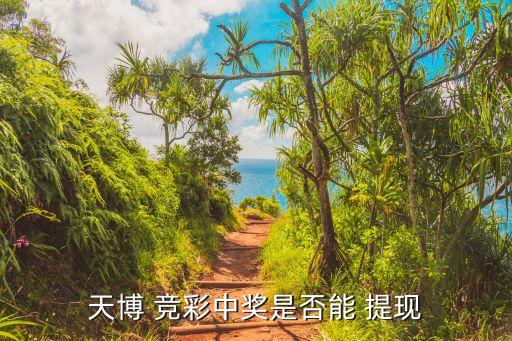 足球競(jìng)彩app哪個(gè)提現(xiàn)快,足球俱樂部提現(xiàn)需要現(xiàn)金嗎?答案!