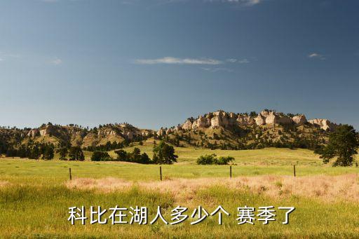 科比27歲是哪個(gè)賽季,24號(hào)球衣永遠(yuǎn)掛在nba賽場(chǎng)