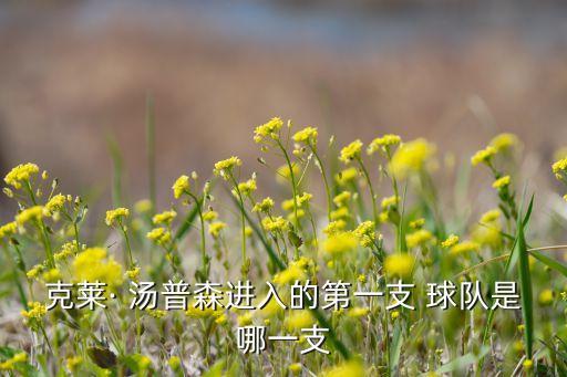 湯普森是哪個球隊的,克萊湯普森不需要得分只需要投籃
