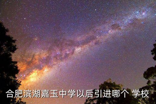 合肥濱湖嘉玉中學(xué)以后引進(jìn)哪個(gè) 學(xué)校