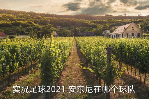 安東尼加盟哪個(gè)隊(duì),安東尼加盟湖人有兩原因