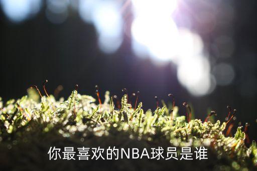 你們喜歡nba哪個(gè)球星,最喜歡科比73歲全明星球員賽季報(bào)銷(xiāo)