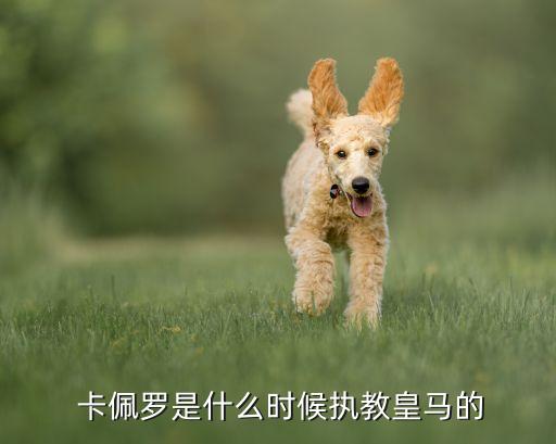  卡佩羅是什么時(shí)候執(zhí)教皇馬的
