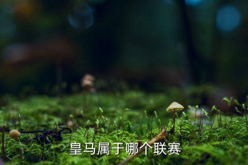 皇馬哪個球隊,皇馬cf是20世紀最偉大足球隊之一