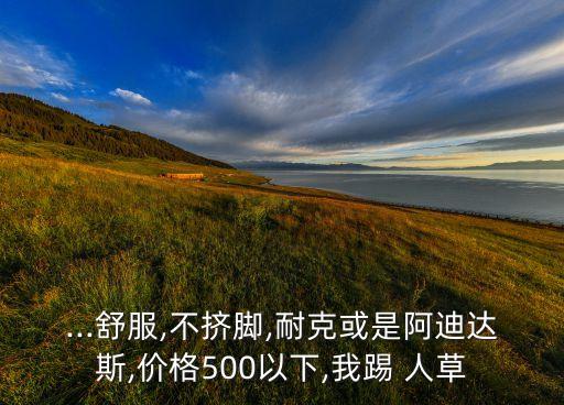 ...舒服,不擠腳,耐克或是阿迪達(dá)斯,價格500以下,我踢 人草