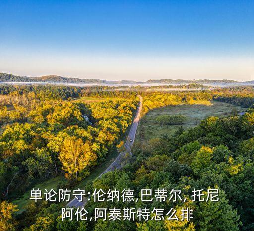 托尼阿倫去哪個隊(duì)了,孟菲斯灰熊球迷知道拜登了
