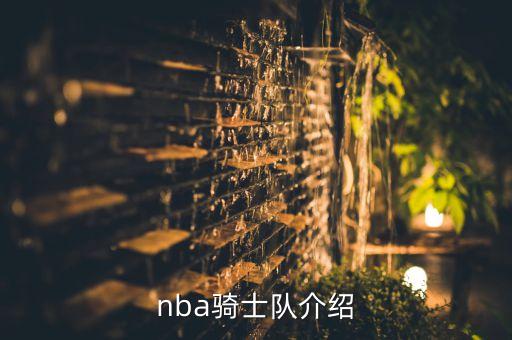 詹姆斯安德森是哪個隊,詹姆斯帶領(lǐng)騎士闖入總決賽