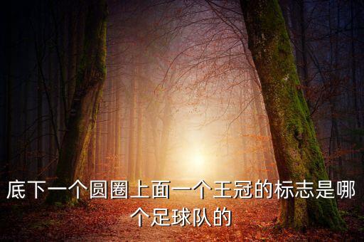 我橫是哪個(gè)隊(duì),只有庫里一人帶傷堅(jiān)持不懈努力追求勝利
