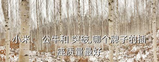 小米、 公牛和 突破,哪個牌子的插座質(zhì)量最好