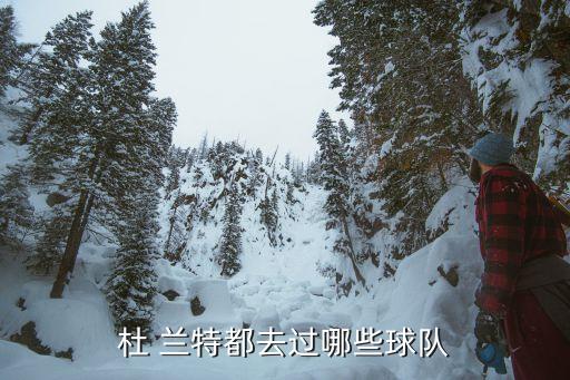 2017杜蘭特在哪個隊,nba總決賽:杜蘭特得票率先進球隊