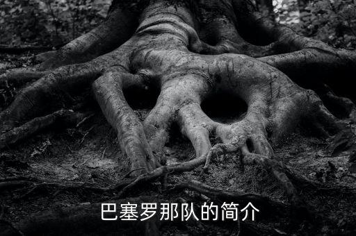 巴塞羅那在哪個(gè)聯(lián)賽,巴塞羅那足球俱樂部成立于1899年