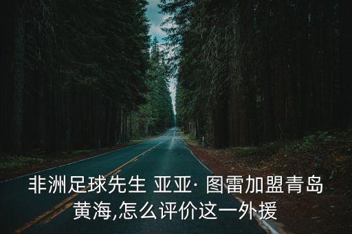 非洲足球先生 亞亞· 圖雷加盟青島黃海,怎么評(píng)價(jià)這一外援