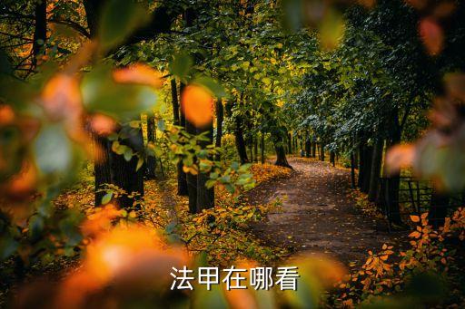 法甲聯(lián)賽哪個(gè)臺播出,法甲聯(lián)賽正式更名為法國職業(yè)足球聯(lián)賽